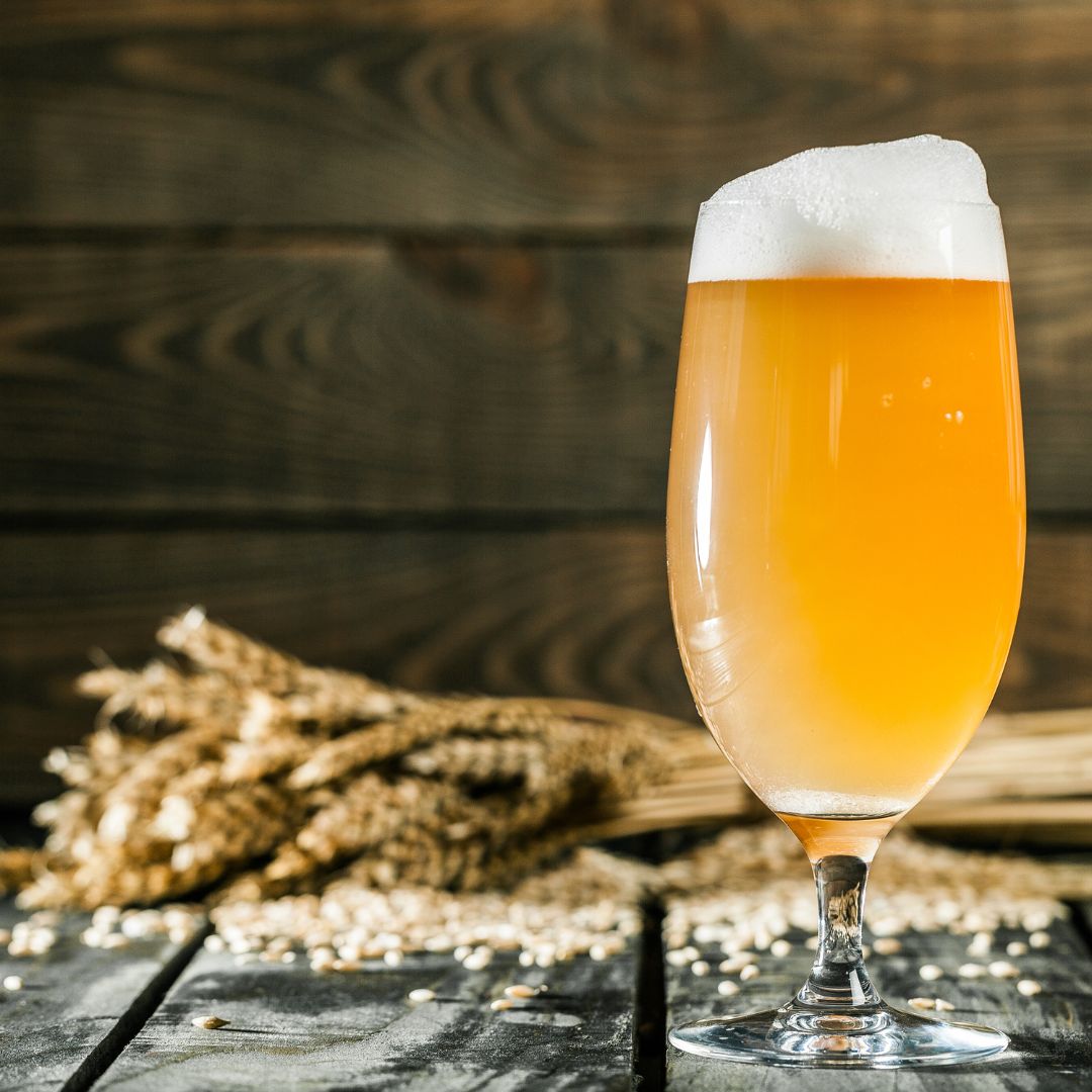 Curso de Cervejas Artesanais: Malte e Lúpulo
